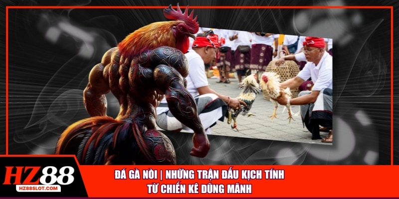 Đá gà nòi những trận đấu kịch tính từ chiến kê dũng mạnh